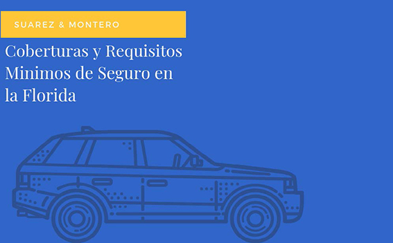 What Are The Minimum Coverage Requirements For Auto Insurance Pdf Spanish