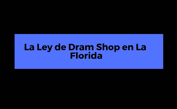 La Ley De Dram Shop En La Florida