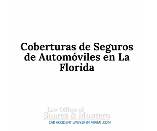 Florida Auto Crash Spanish