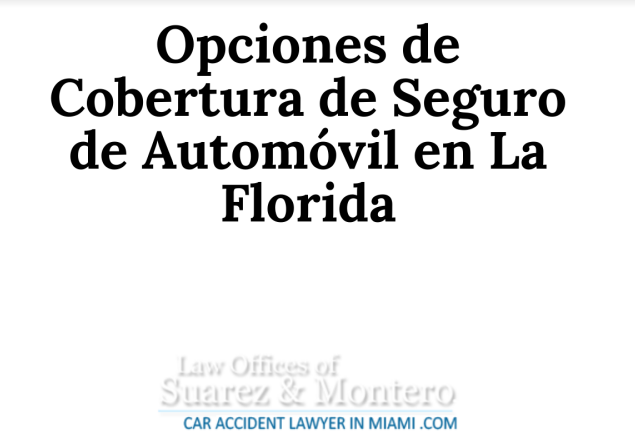 Florida Car Insurance Spanish