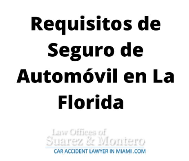 Florida Car Spanish