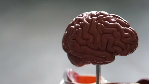 ¿Cómo Pueden Ayudar Los Bufetes De Abogados De Suárez Y Montero Después De Un Accidente Con Lesión Cerebral?