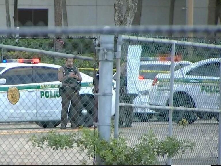 Road rage incident leaves 2 men hospitalized near Miami International ...