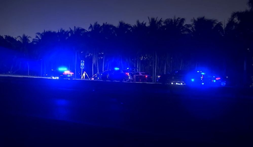 A pedestrian died early Monday after being hit by a vehicle on Florida’s Turnpike in Homestead, according to the Florida Highway Patrol.